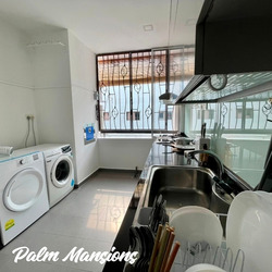 Palm Mansions (D5), Apartment #627018071